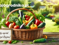 RajOgrodnika.pl - Sklep ogrodniczy online